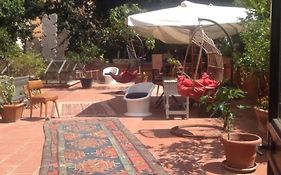 Trastevere' S Musa